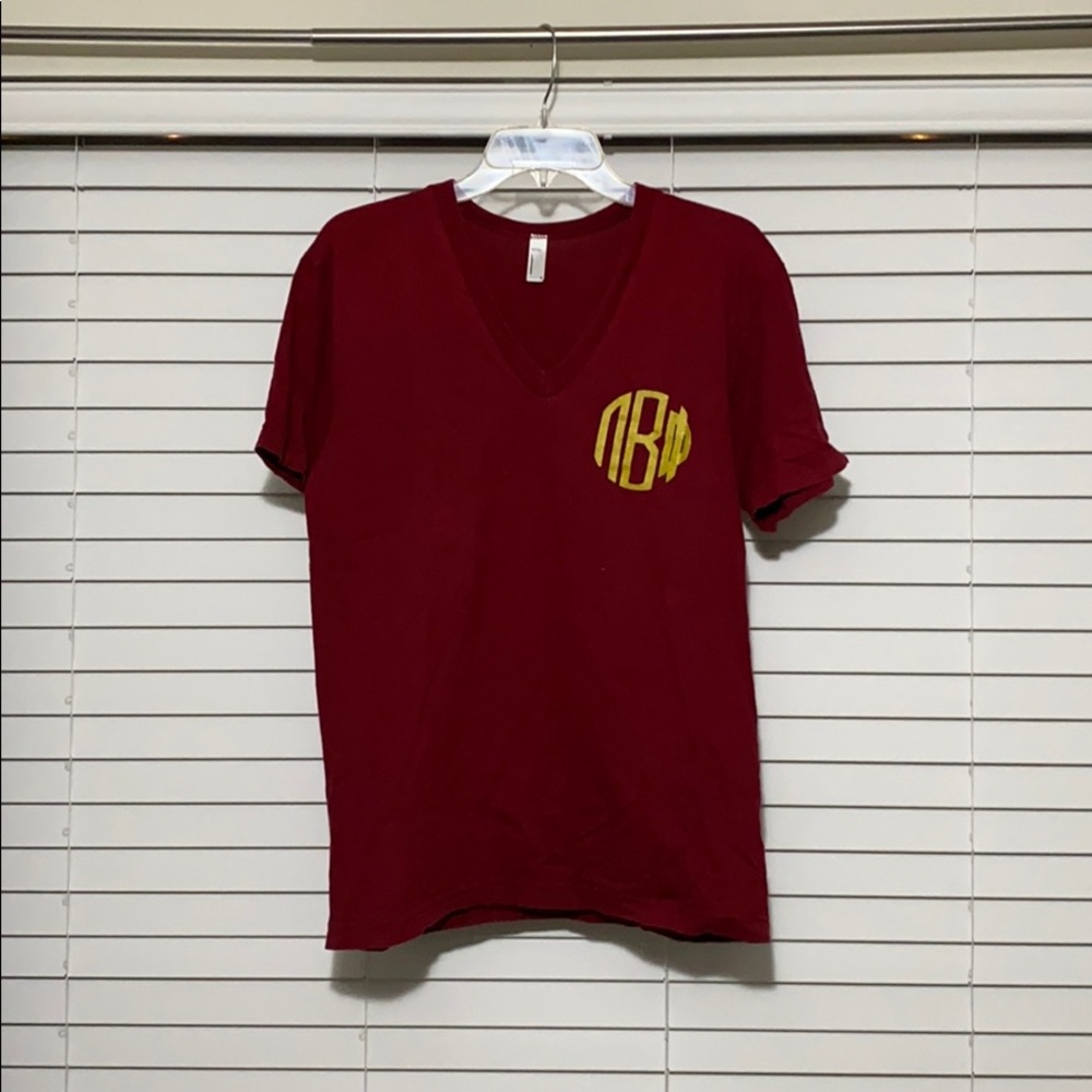 Short sleeve, V Neck Pi Beta Phi t-shirt